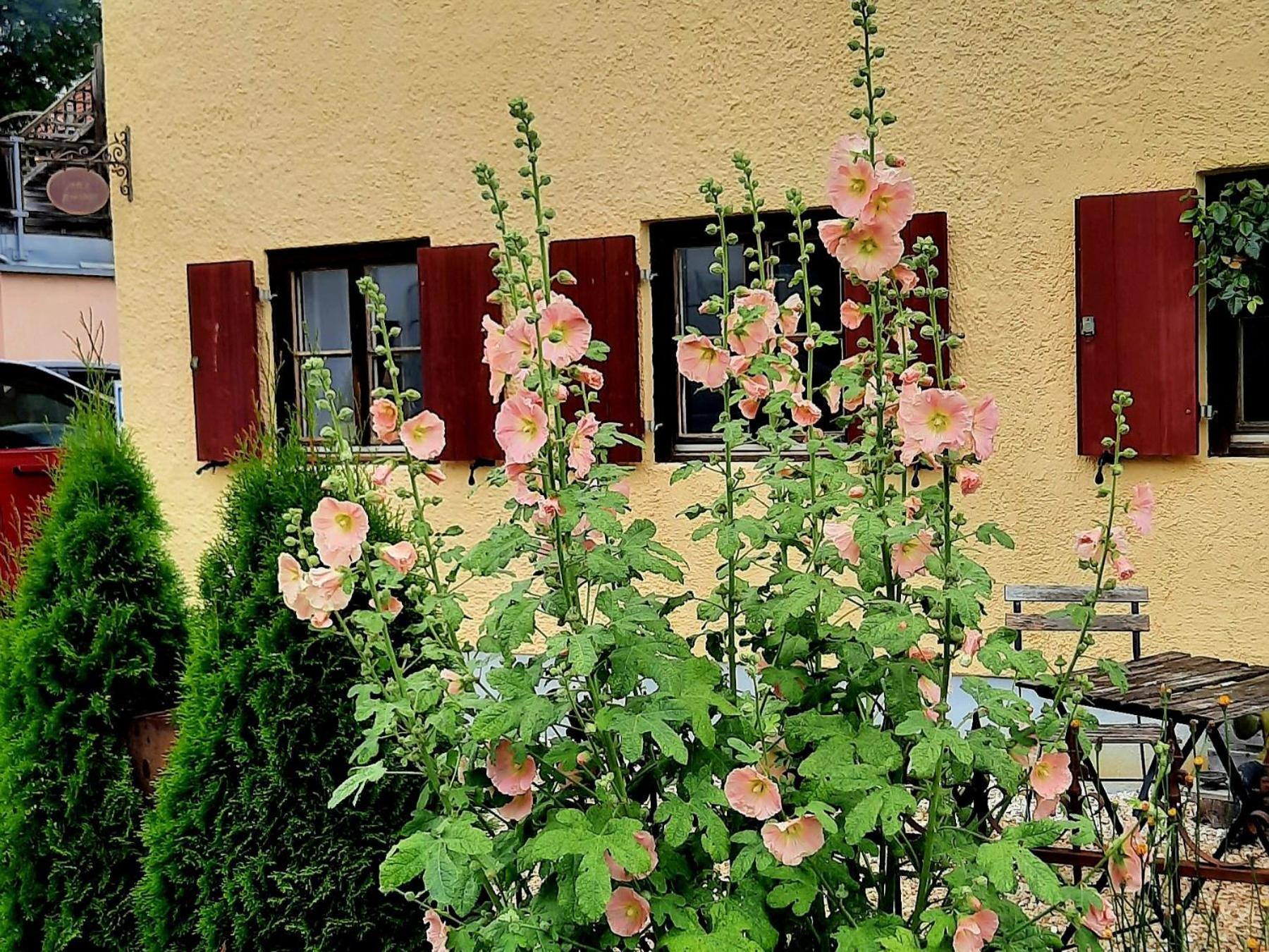 Nette's Ferienhaus Landsberg am Lech Exterior foto